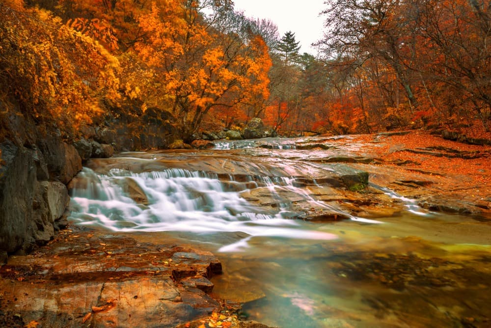Otoño en Corée del Sur: los imprescindibles
