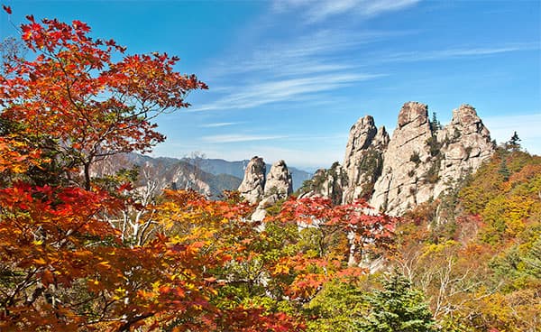 Top 5 de atracciones en Corea del Sur