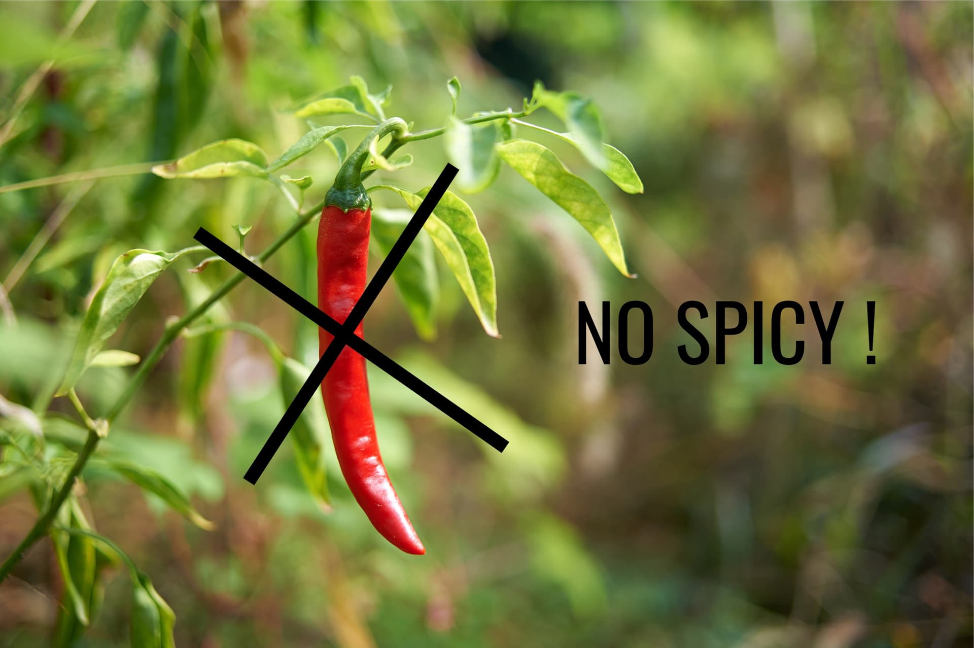 Tres platos imprescindibles para escapar del ardor del picante en Seúl